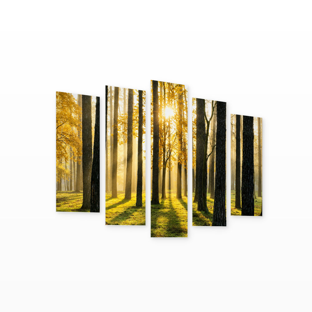 Enchanted Forest at Golden Sunset — five-panel wall art on white background in perspective | 5wallart 55313 M1