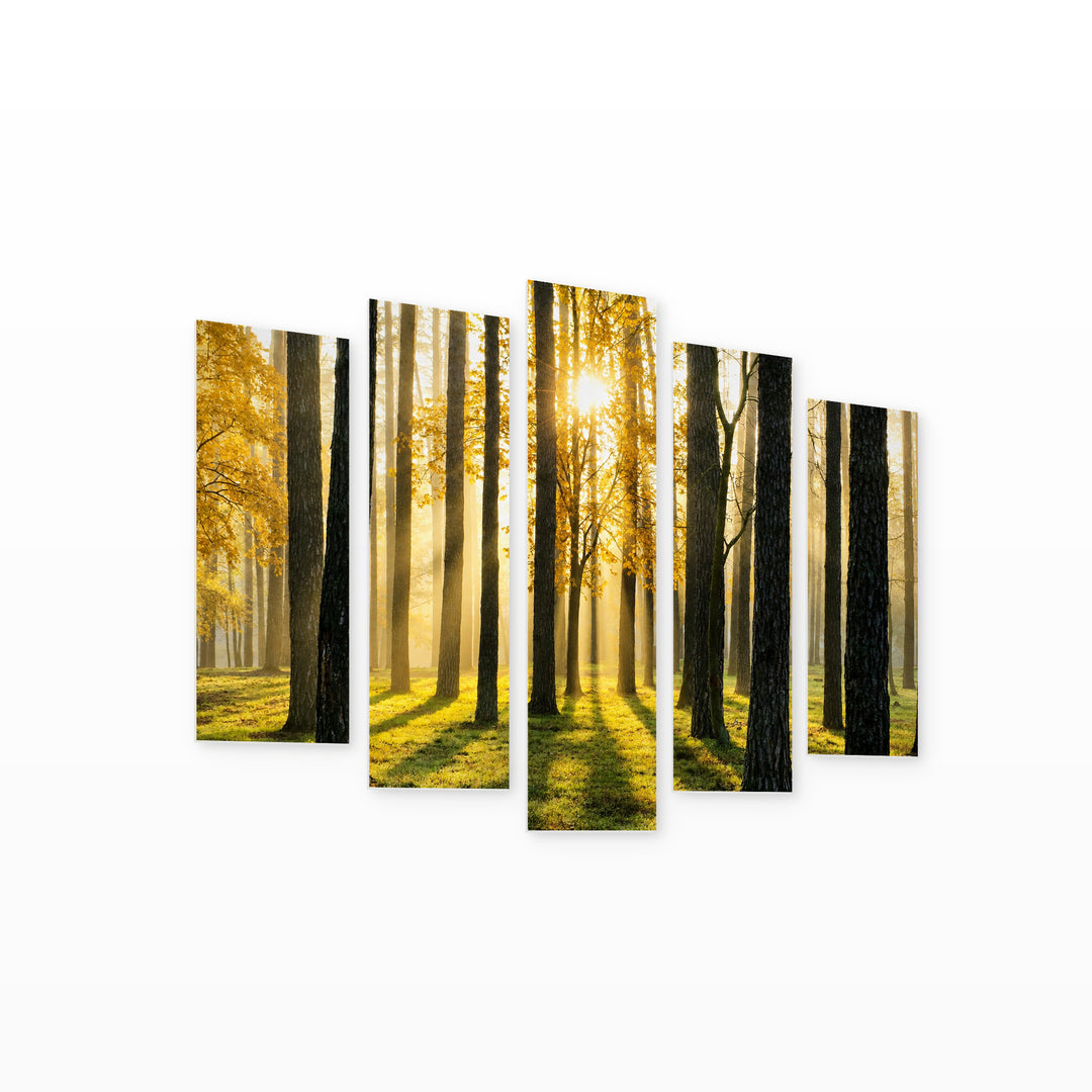 Enchanted Forest at Golden Sunset — five-panel wall art on white background in perspective | 5wallart 55313 M1
