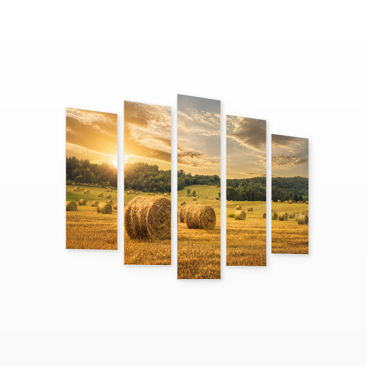 Golden Field in Serene Light — five-panel wall art on white background in perspective | 5wallart 55359 M1