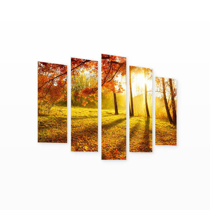 Autumn in the Park in Serene Light — five-panel wall art on white background in perspective | 5wallart 55365 M1