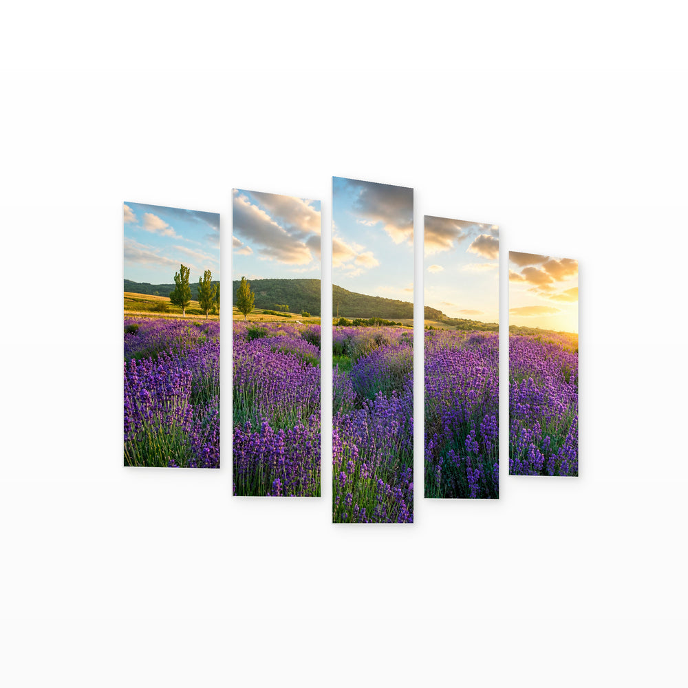 Lavender Field in Serene Light — five-panel wall art on white background in perspective | 5wallart 55372 M1