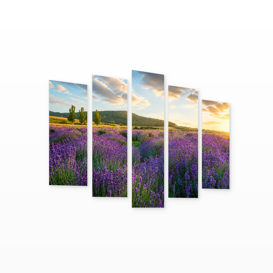 Lavender Field in Serene Light — five-panel wall art on white background in perspective | 5wallart 55372 M1