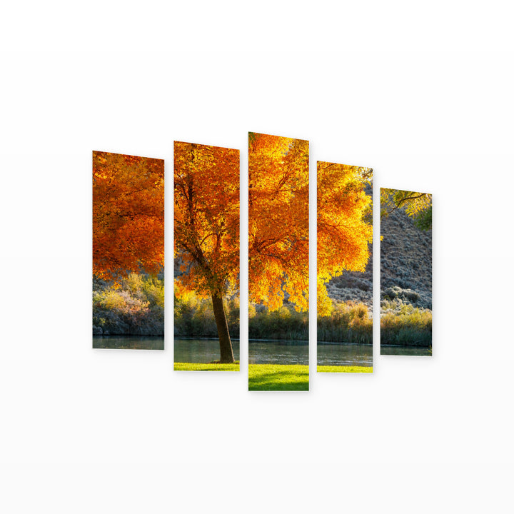 Autumn Tree in Vivid Color — five-panel wall art on white background in perspective | 5wallart 55373 M1
