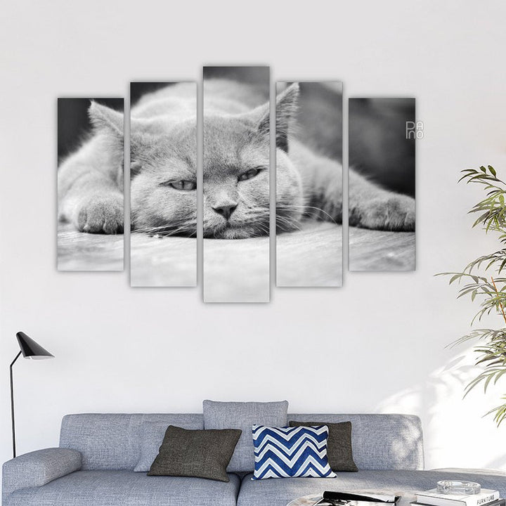 Sleeping Kitten – reference image 2
