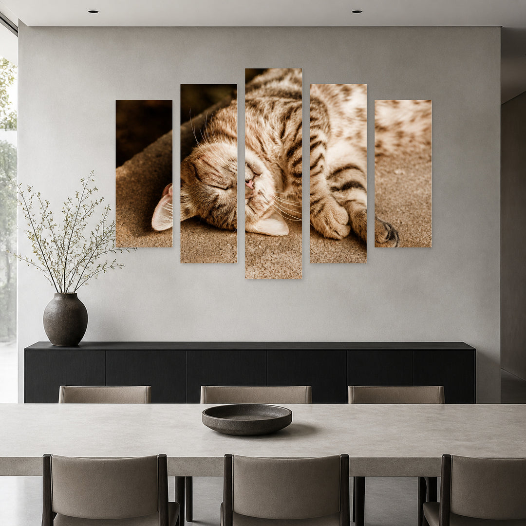 Happy Sleeping Cat with Geometric Rhythm — five-panel wall art in frontal interior | 5wallart 55550 M3