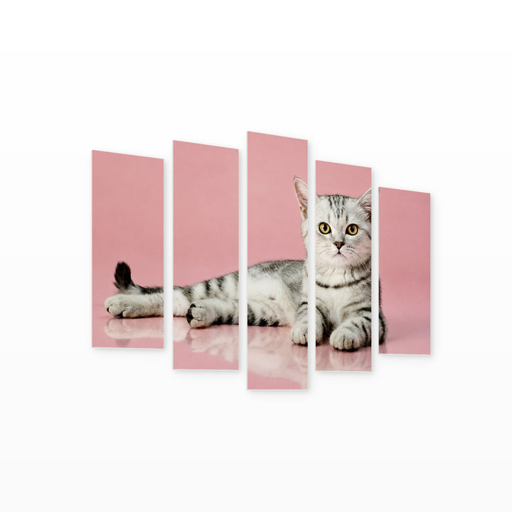 Fluffy Cat with Dreamlike Atmosphere — five-panel wall art on white background in perspective | 5wallart 55551 M1
