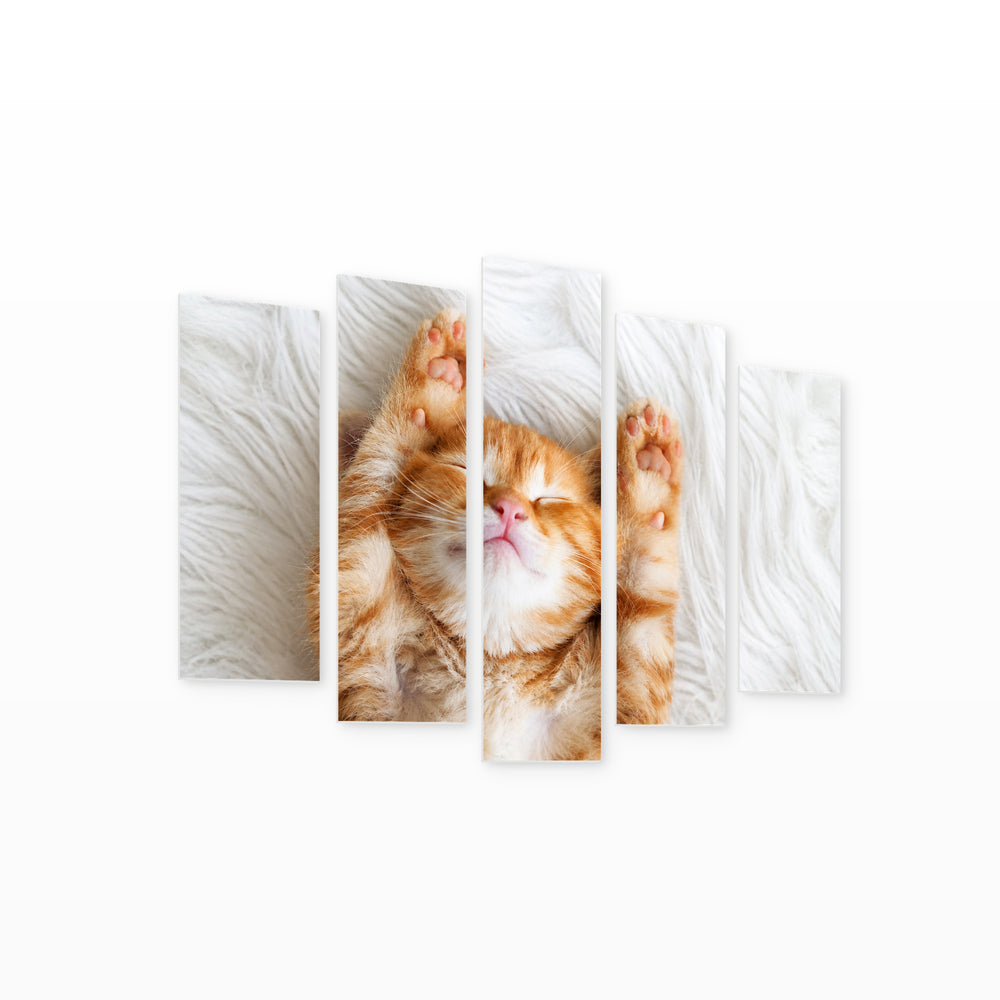 Ginger Kitten Wildlife Portrait — five-panel wall art on white background in perspective | 5wallart 55552 M1