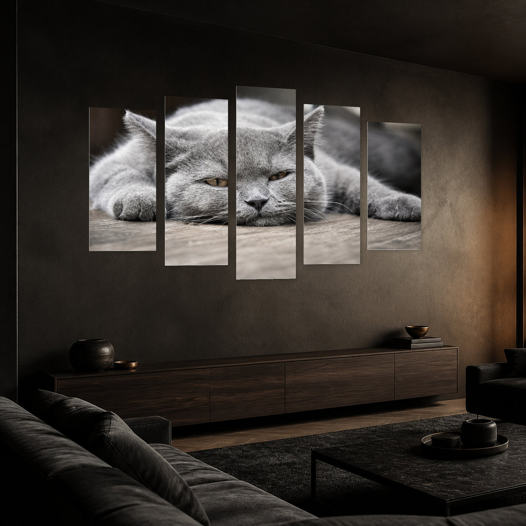 Sleeping Kitten with Geometric Rhythm — five-panel wall art in perspective interior | 5wallart 55553 M2