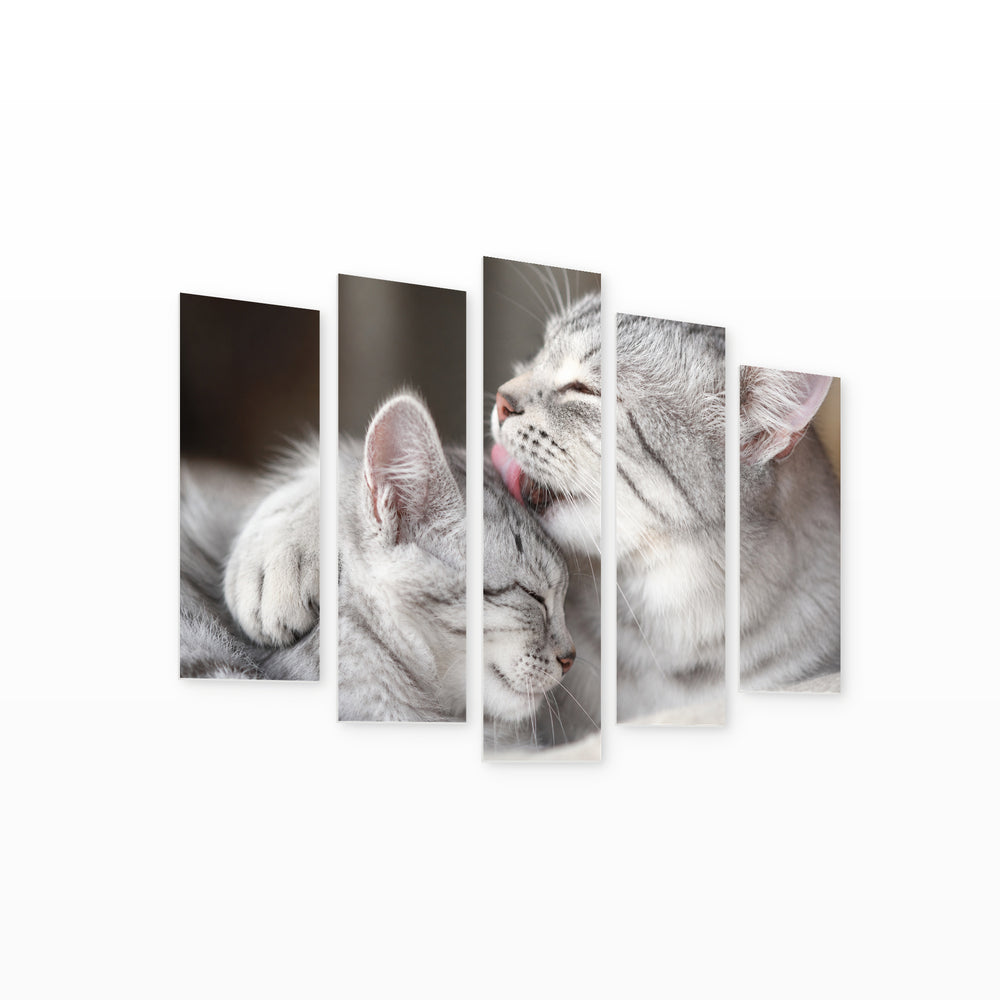 Siberian Cats in Serene Light — five-panel wall art on white background in perspective | 5wallart 55554 M1