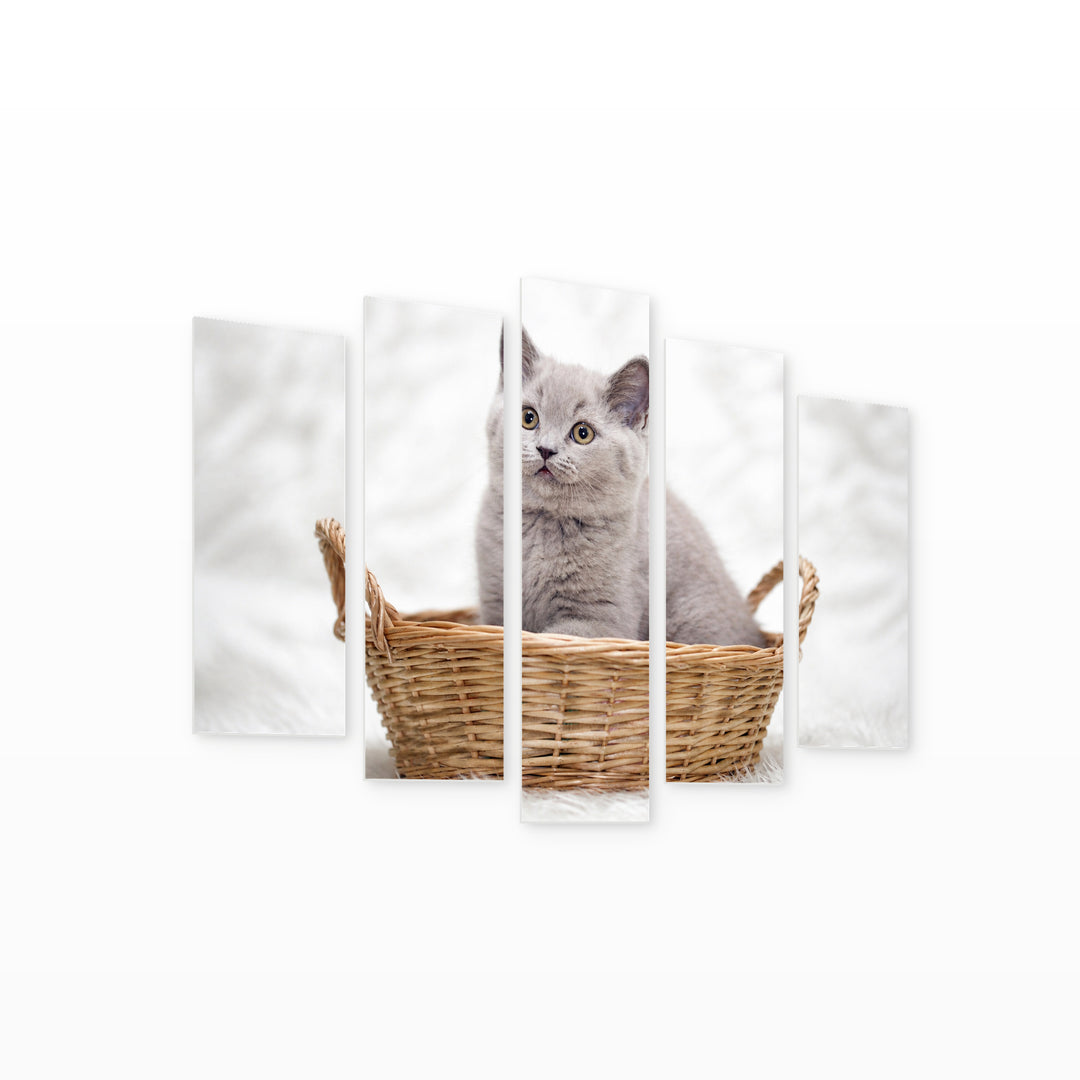 Gray Kitten in a Basket in Serene Light — five-panel wall art on white background in perspective | 5wallart 55555 M1