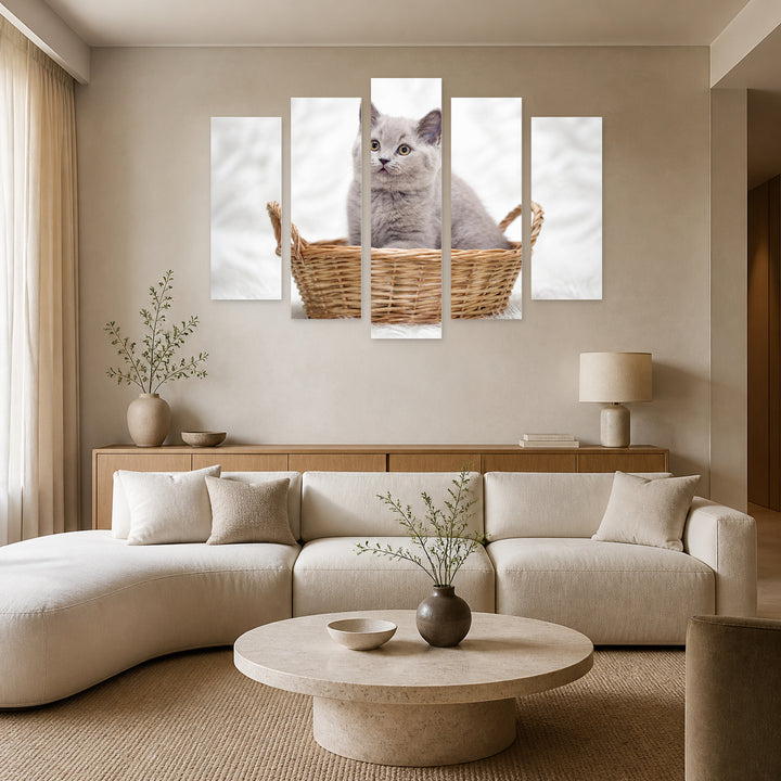 Gray Kitten in a Basket in Serene Light — five-panel wall art in frontal interior | 5wallart 55555 M3