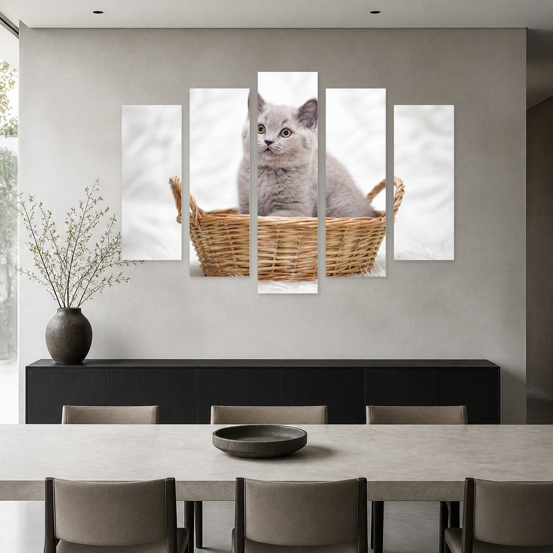 Gray Kitten in a Basket in Serene Light — five-panel wall art in alternate frontal interior | 5wallart 55555 M4