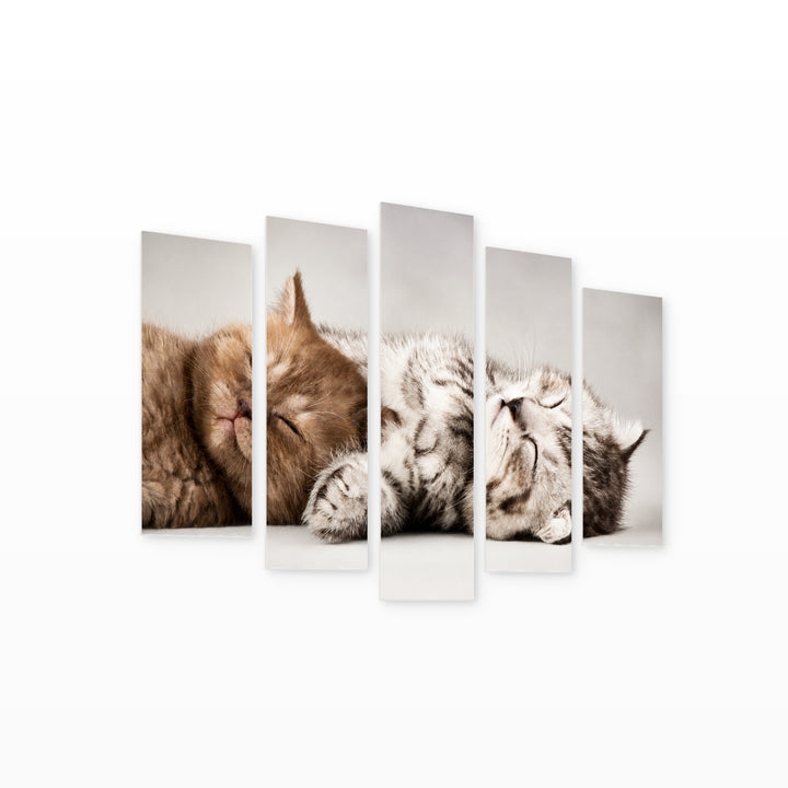 Sleeping Kittens in Serene Light — five-panel wall art on white background in perspective | 5wallart 55556 M1