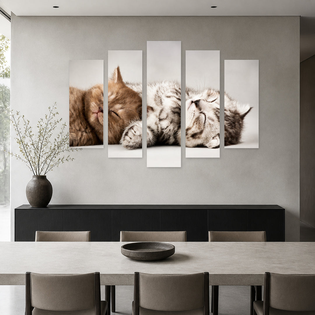 Sleeping Kittens in Serene Light — five-panel wall art in frontal interior | 5wallart 55556 M3