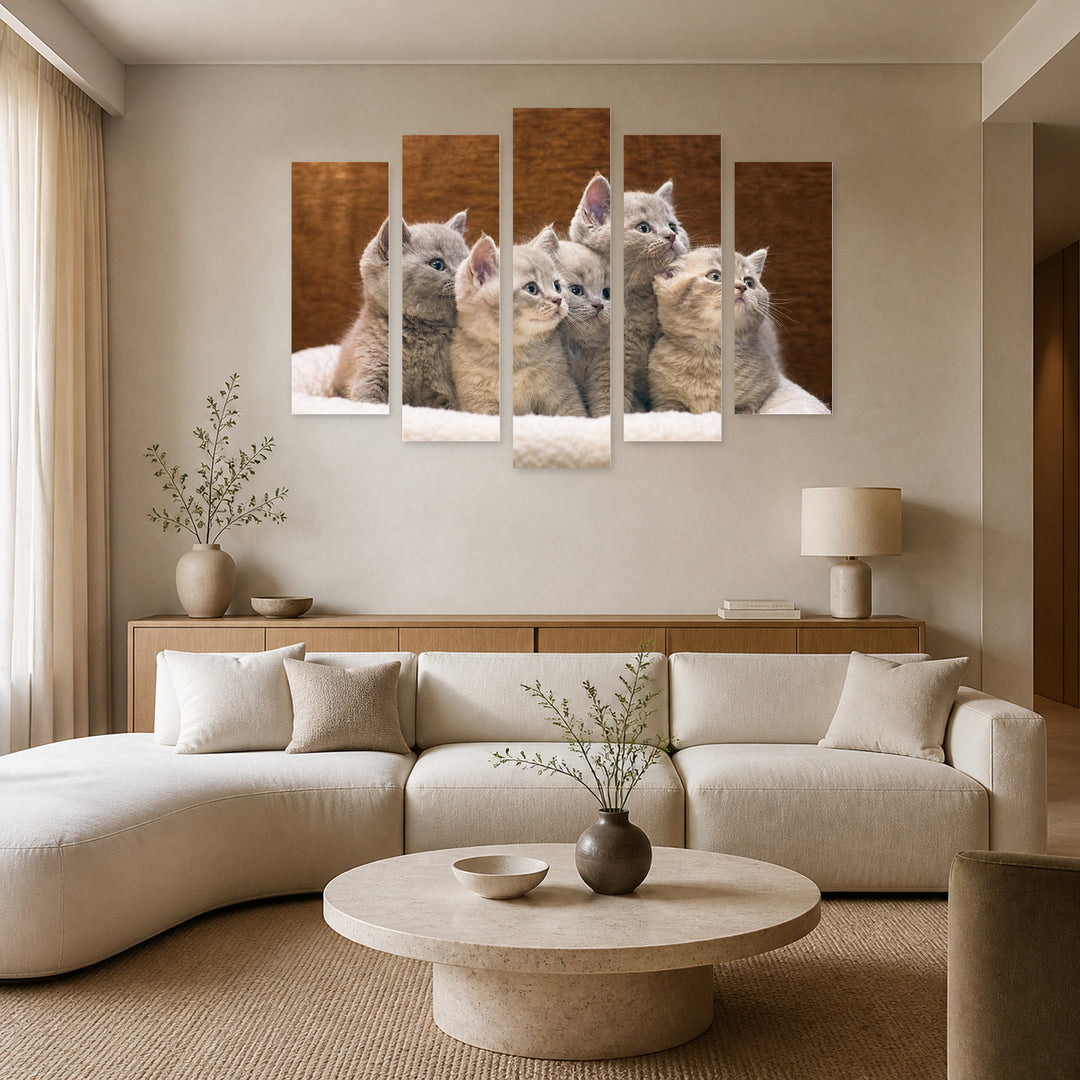Gray British Kittens in Serene Light — five-panel wall art in frontal interior | 5wallart 55557 M3