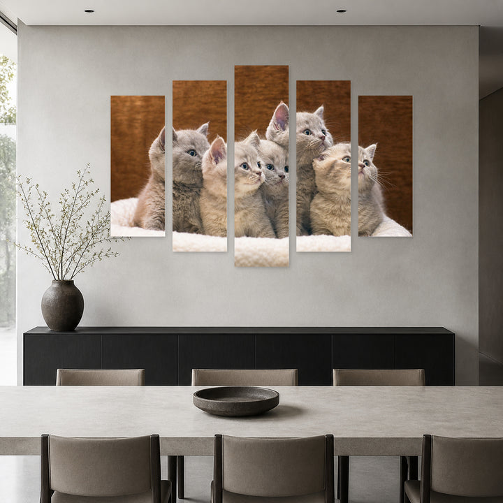 Gray British Kittens in Serene Light — five-panel wall art in alternate frontal interior | 5wallart 55557 M4