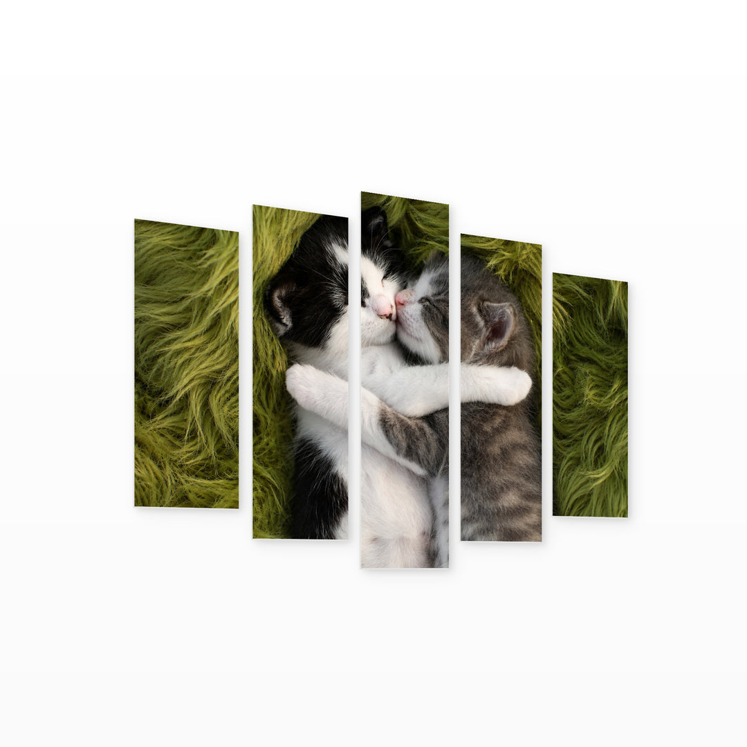 Cuddling Kittens in Serene Light — five-panel wall art on white background in perspective | 5wallart 55558 M1