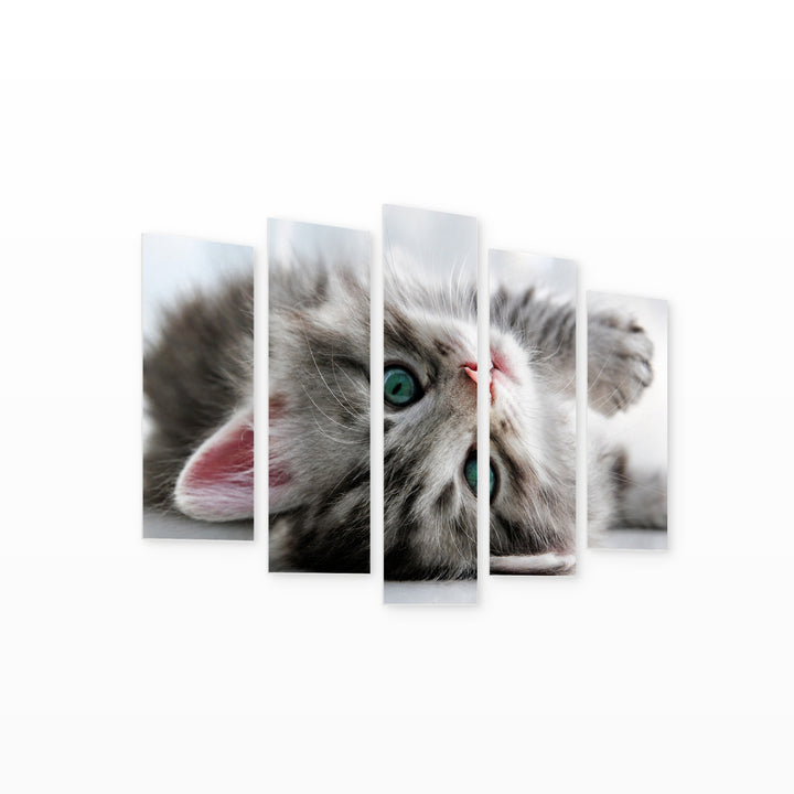 Baby Kitten with Dreamlike Atmosphere — five-panel wall art on white background in perspective | 5wallart 55559 M1