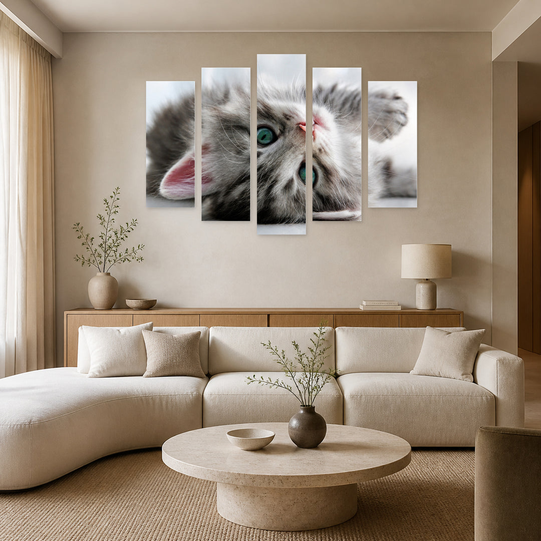 Baby Kitten with Dreamlike Atmosphere — five-panel wall art in frontal interior | 5wallart 55559 M3