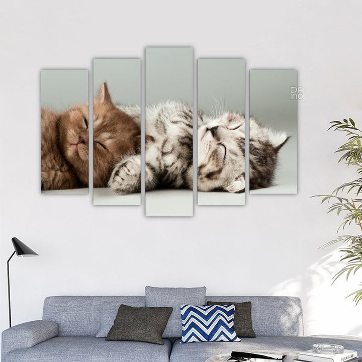 Sleeping Kittens – reference image 2