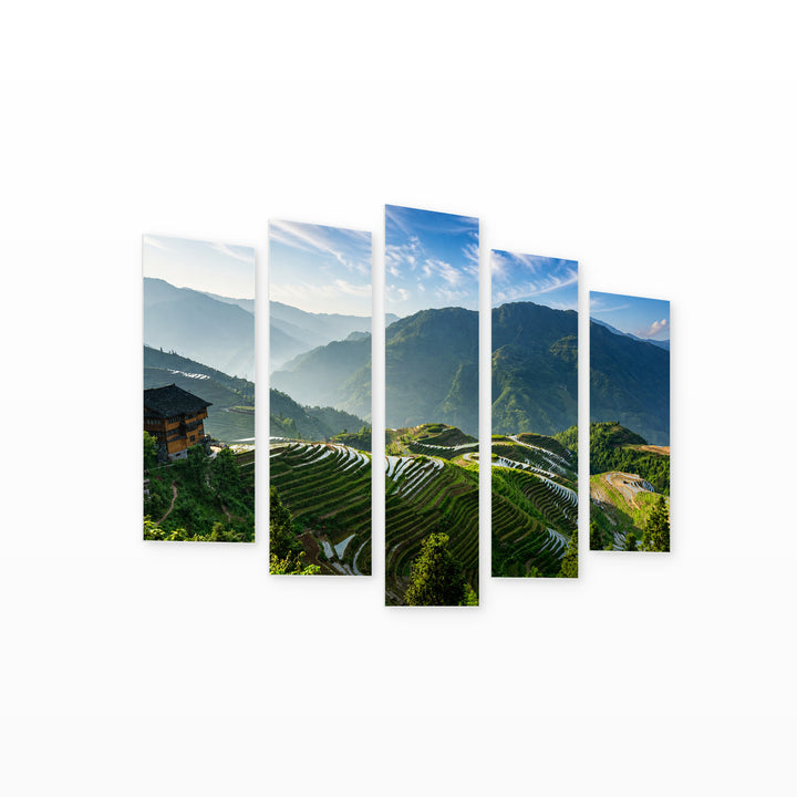 Terraced Rice Fields in Vivid Color — five-panel wall art on white background in perspective | 5wallart 55601 M1