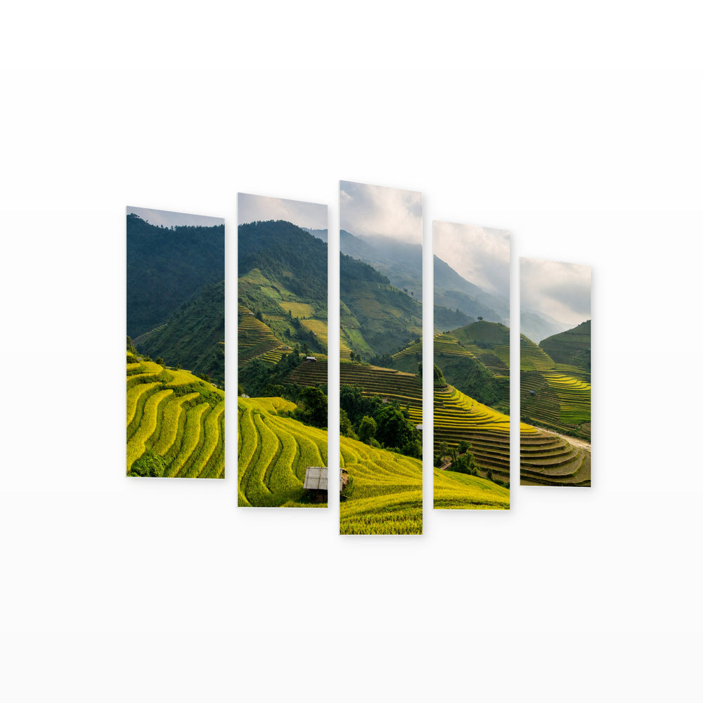 Rice Fields in Serene Light — five-panel wall art on white background in perspective | 5wallart 55612 M1