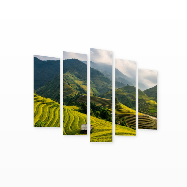 Rice Fields in Serene Light — five-panel wall art on white background in perspective | 5wallart 55612 M1