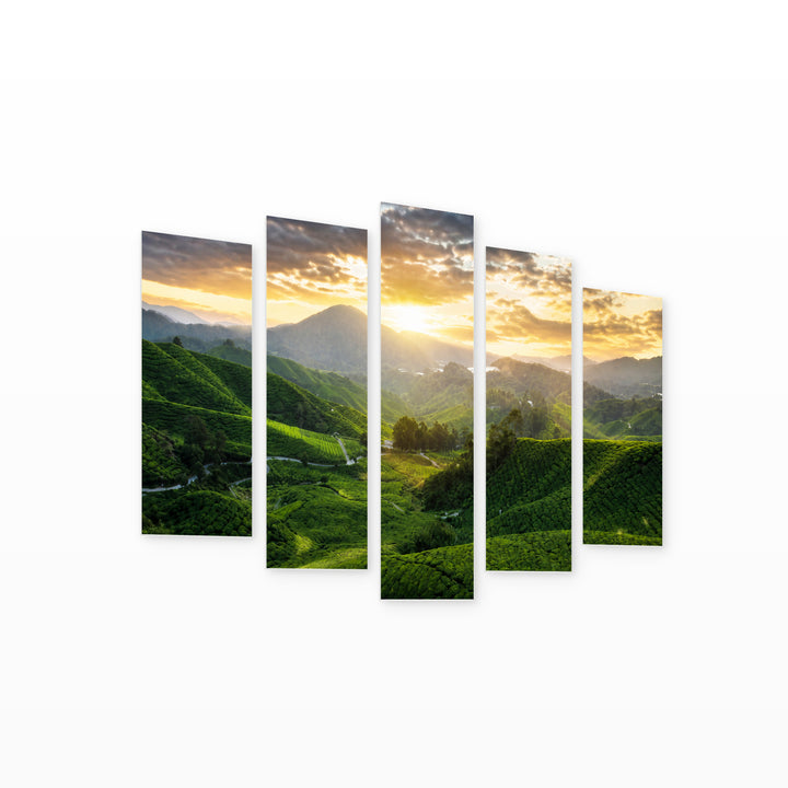 Tea Plantations with Dreamlike Atmosphere — five-panel wall art on white background in perspective | 5wallart 55627 M1