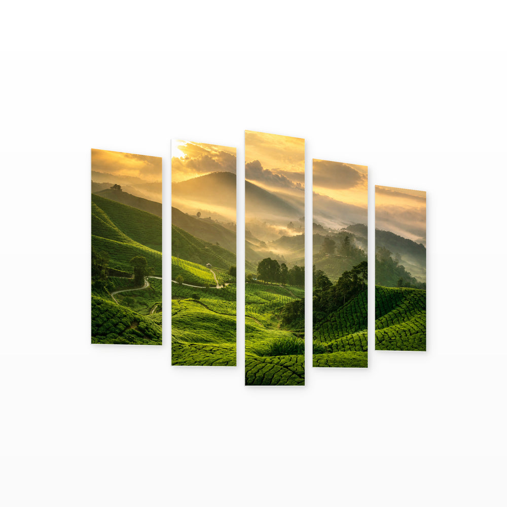 Tea Plantation in Serene Light — five-panel wall art on white background in perspective | 5wallart 55633 M1