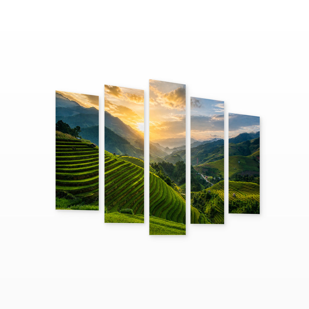 Rice Fields in Vietnam with Dreamlike Atmosphere — five-panel wall art on white background in perspective | 5wallart 55640 M1