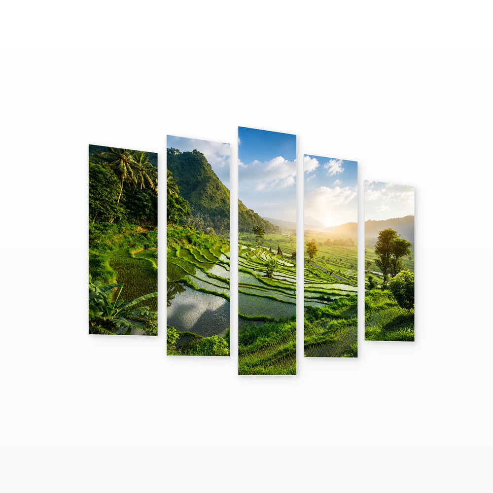 Rice Fields in Bali in Vivid Color — five-panel wall art on white background in perspective | 5wallart 55642 M1