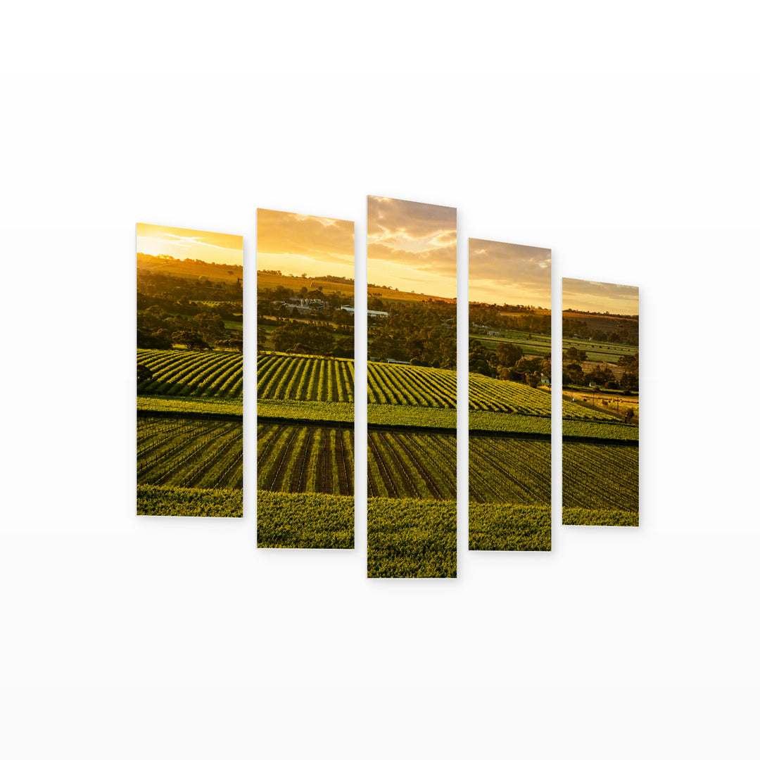 Vineyards in Australia with Geometric Rhythm — five-panel wall art on white background in perspective | 5wallart 55665 M1