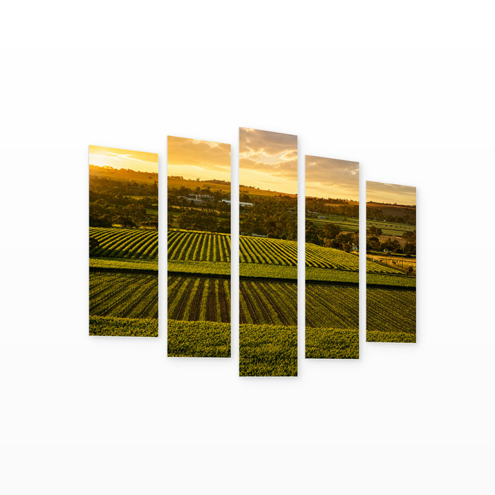Vineyards in Australia with Geometric Rhythm — five-panel wall art on white background in perspective | 5wallart 55665 M1
