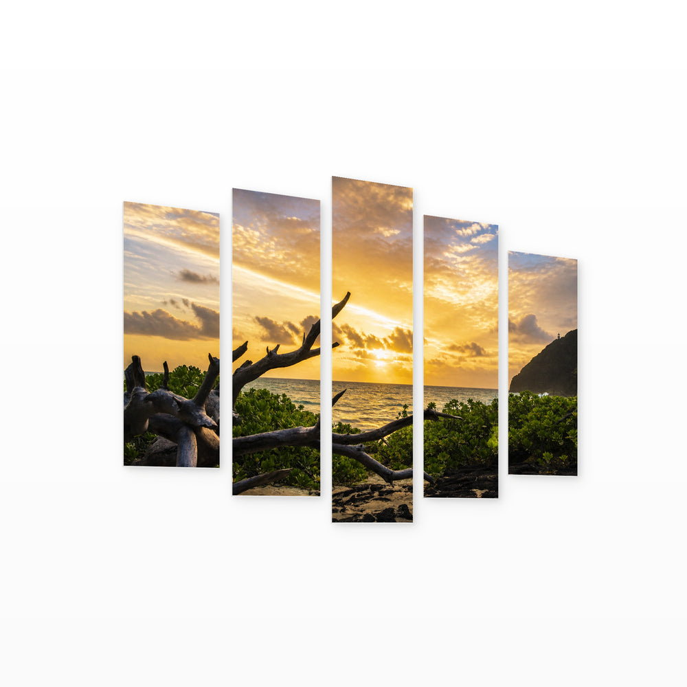 Sunrise at Makapuu in Serene Light — five-panel wall art on white background in perspective | 5wallart 55775 M1