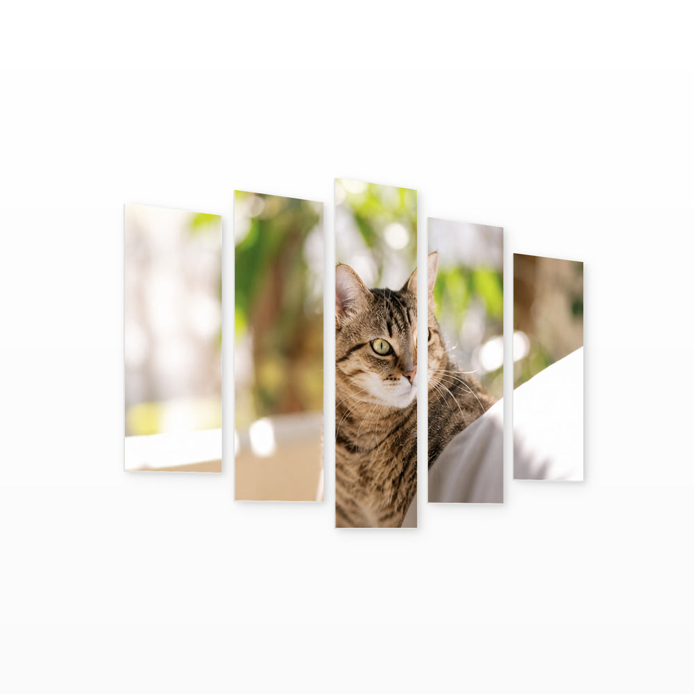 Tabby Cat Hiding Wildlife Portrait — five-panel wall art on white background in perspective | 5wallart 56784 M1