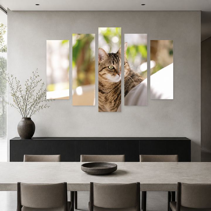 Tabby Cat Hiding Wildlife Portrait — five-panel wall art in frontal interior | 5wallart 56784 M3