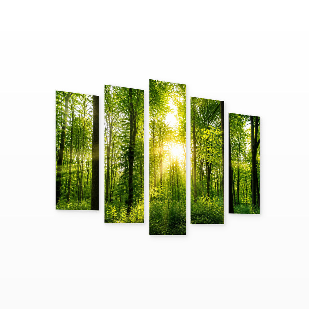 Forest Panorama with Sun Rays in Serene Light — five-panel wall art on white background in perspective | 5wallart 56887 M1