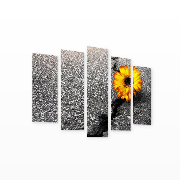 Power of Life in Vivid Color — five-panel wall art on white background in perspective | 5wallart 57042 M1