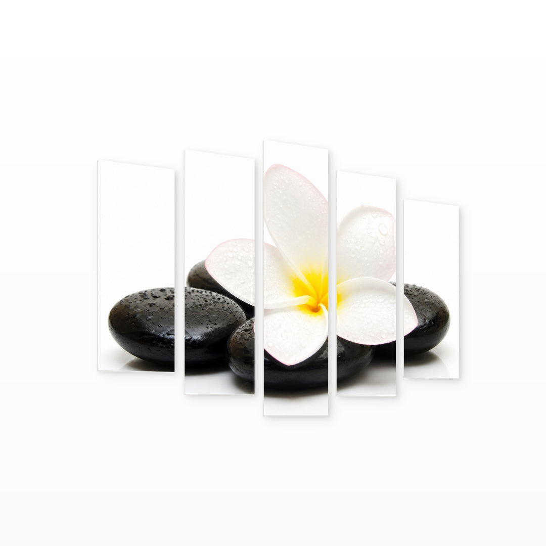 Zen Stones and Jasmine in Serene Light — five-panel wall art on white background in perspective | 5wallart 57073 M1