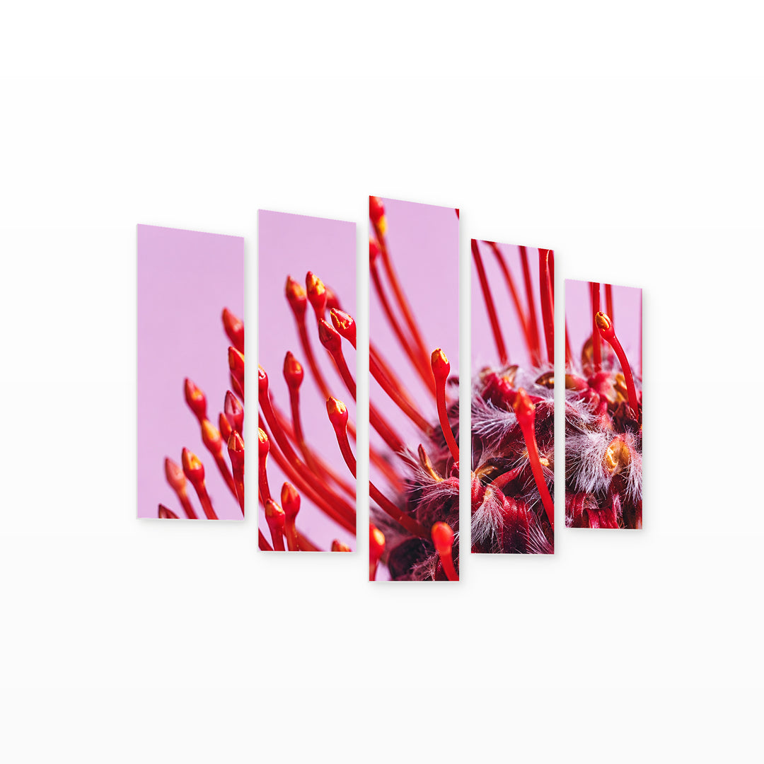 Unusual Flower in Vivid Color — five-panel wall art on white background in perspective | 5wallart 57507 M1