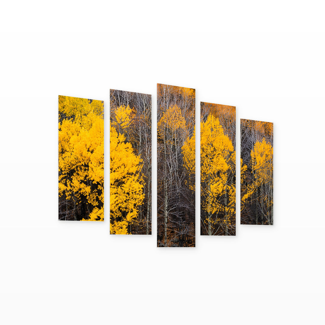 Nature in Yellow with Geometric Rhythm — five-panel wall art on white background in perspective | 5wallart 57533 M1