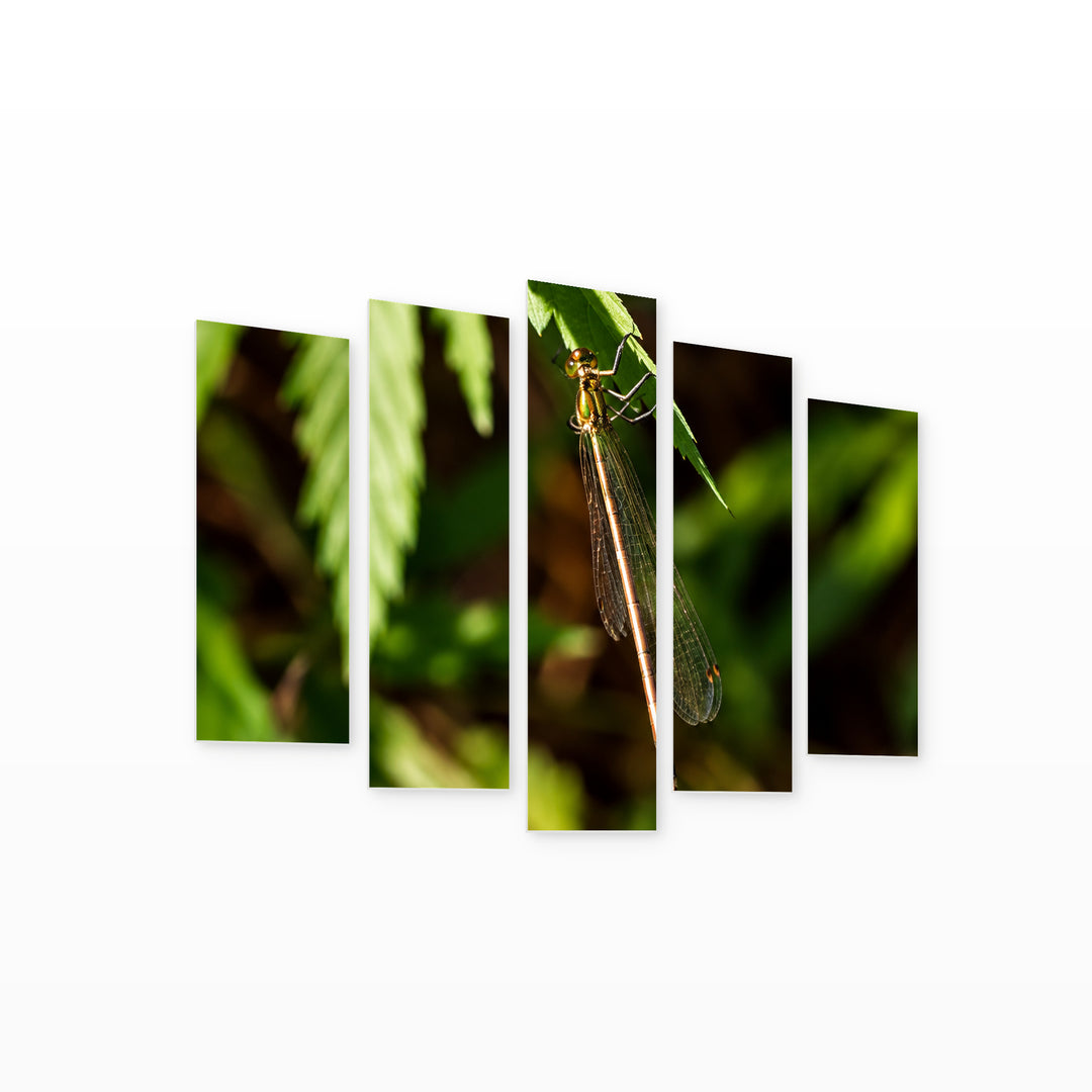 Dragonfly in Vivid Color — five-panel wall art on white background in perspective | 5wallart 57557 M1