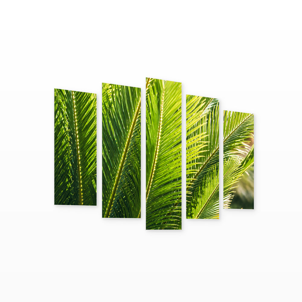 Sago Palm in Vivid Color — five-panel wall art on white background in perspective | 5wallart 57587 M1