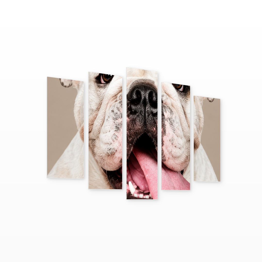 American Bulldog with Dramatic Contrast — five-panel wall art on white background in perspective | 5wallart 57608 M1