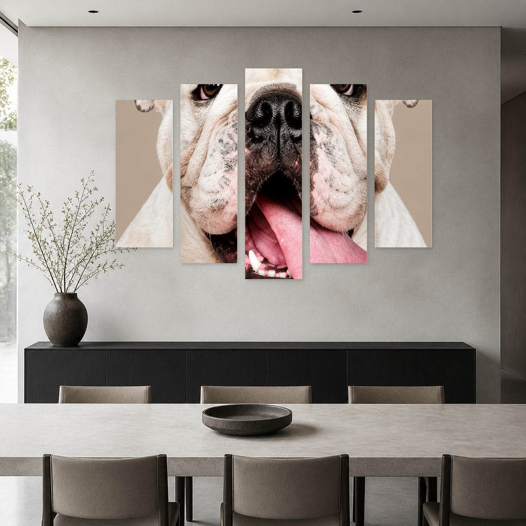 American Bulldog with Dramatic Contrast — five-panel wall art in frontal interior | 5wallart 57608 M3