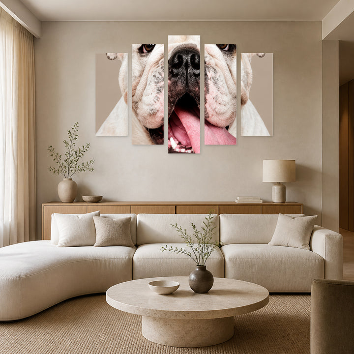 American Bulldog with Dramatic Contrast — five-panel wall art in alternate frontal interior | 5wallart 57608 M4