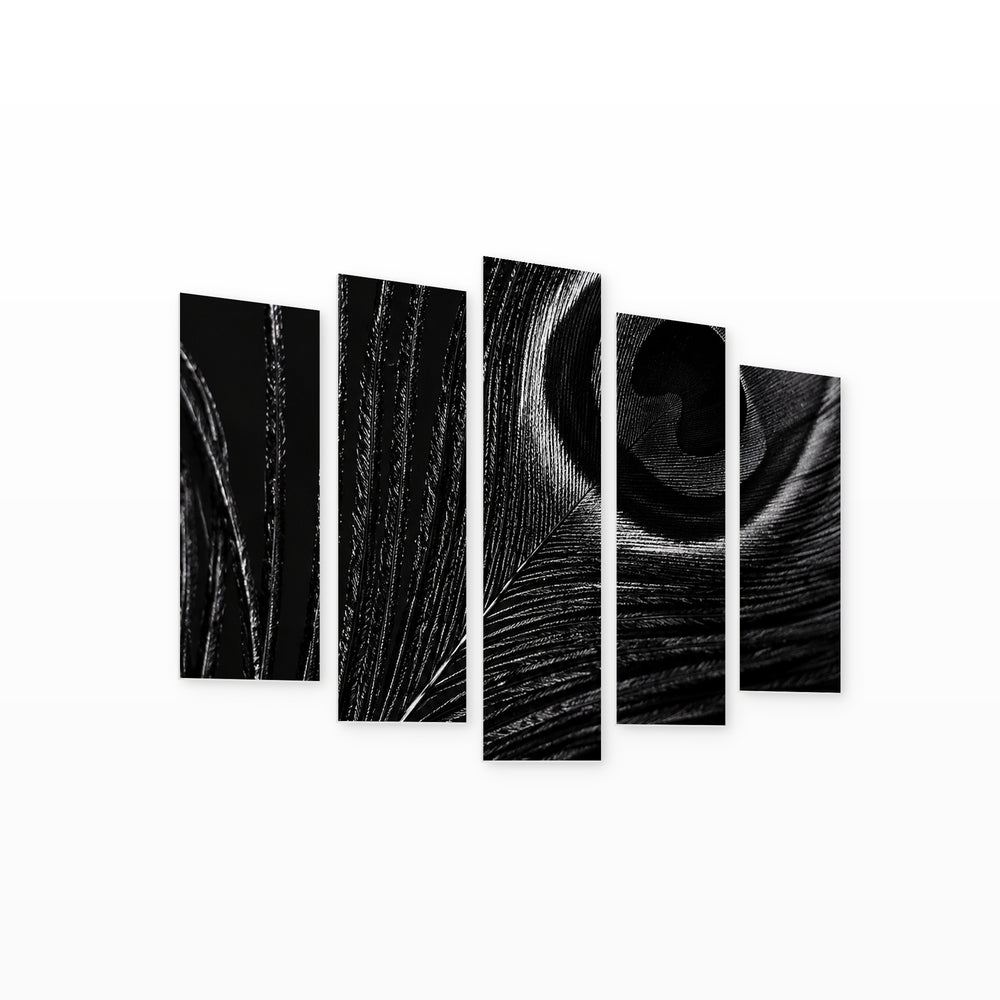 Black Peacock Feather Wildlife Portrait — five-panel wall art on white background in perspective | 5wallart 57617 M1