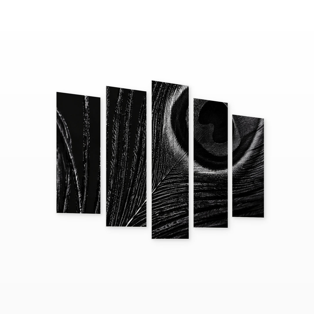 Black Peacock Feather Wildlife Portrait — five-panel wall art on white background in perspective | 5wallart 57617 M1