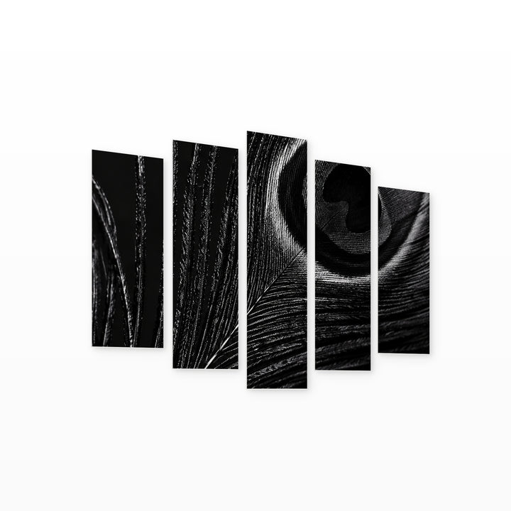 Black Peacock Feather Wildlife Portrait — five-panel wall art on white background in perspective | 5wallart 57617 M1