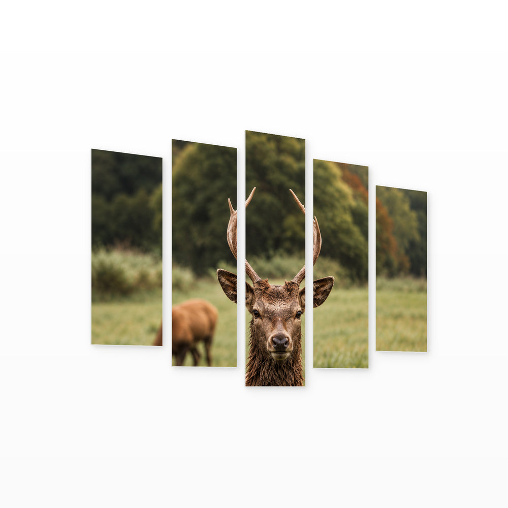 Young Deer in Serene Light — five-panel wall art on white background in perspective | 5wallart 57622 M1